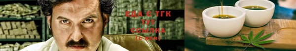 индика Киреевск
