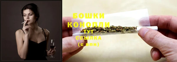 стафф Магадан