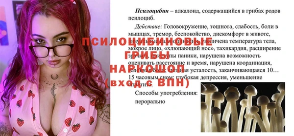 стафф Магадан