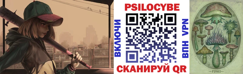 Галлюциногенные грибы Psilocybe  купить наркоту  Котельники 