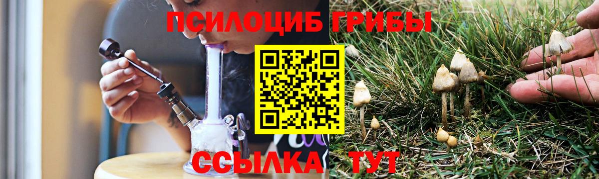 Галлюциногенные грибы мицелий  Галлюциногенные грибы Magic Shrooms  Вход с VPN  Котельники 