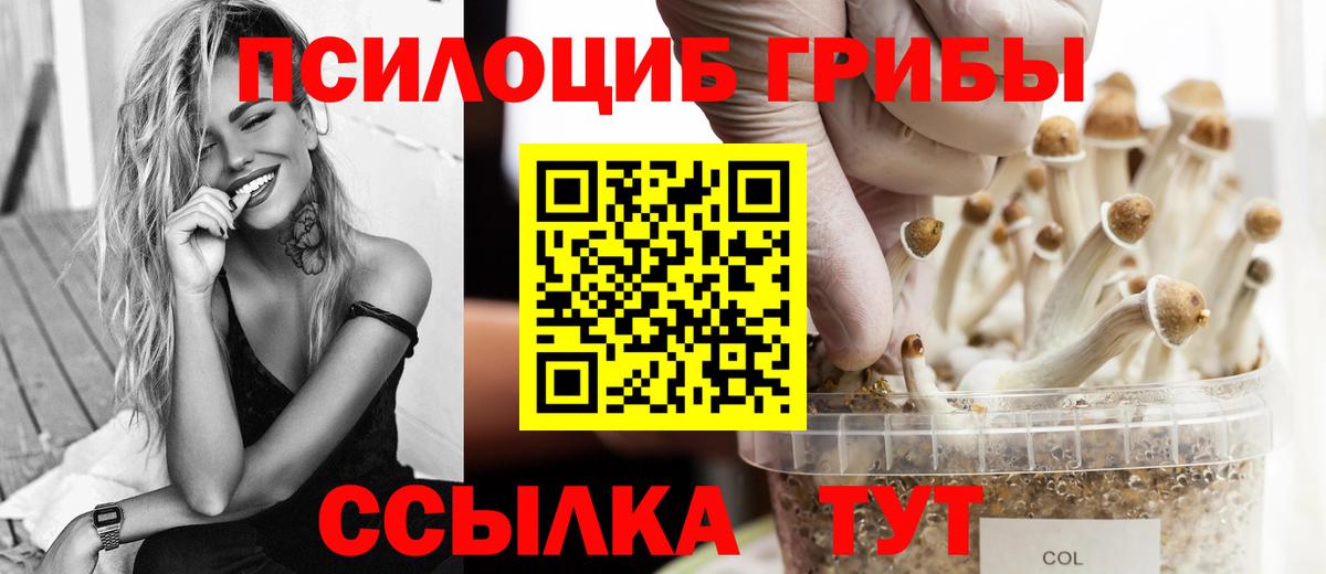 Галлюциногенные грибы GOLDEN TEACHER  Котельники 