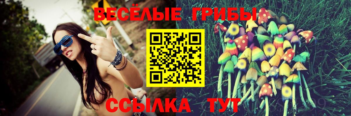 Галлюциногенные грибы MAGIC MUSHROOMS Котельники