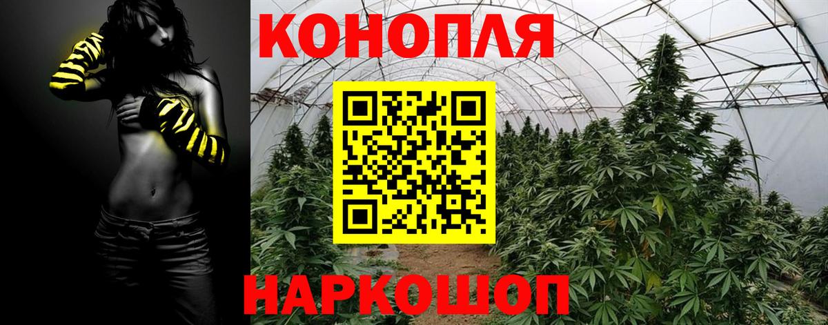 Конопля Amnesia Котельники